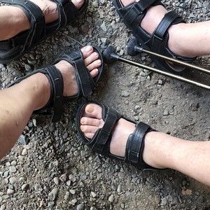 Meet your Posher, Posh